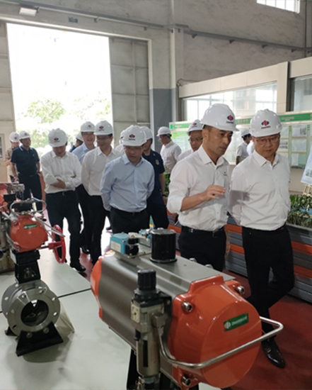 Wang Gang, Mayor of Huzhou City, Shen Zhiwei, Mayor of Changxing County, and other city and county leaders visited Zhejiang Zhongde Automatic Control Technology Co., Ltd., a national high-tech enterpr